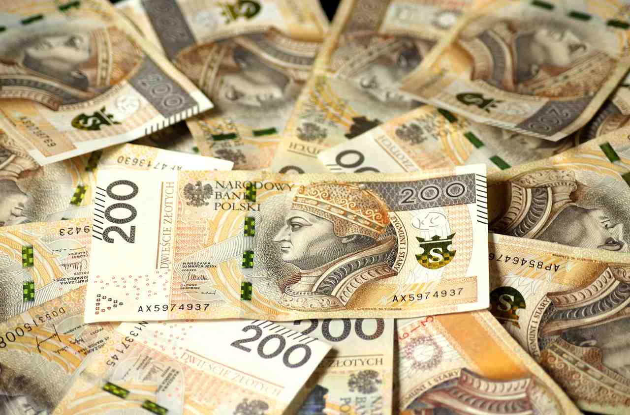 billets en euros, la devise de la pologne, finances
